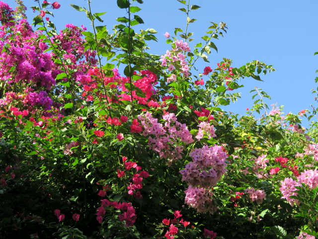Sunken Gardens in St. Petersburg (11. Nov.)