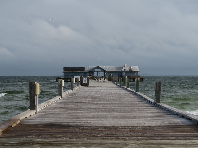 Anna Maria City Pier (12. Nov.)