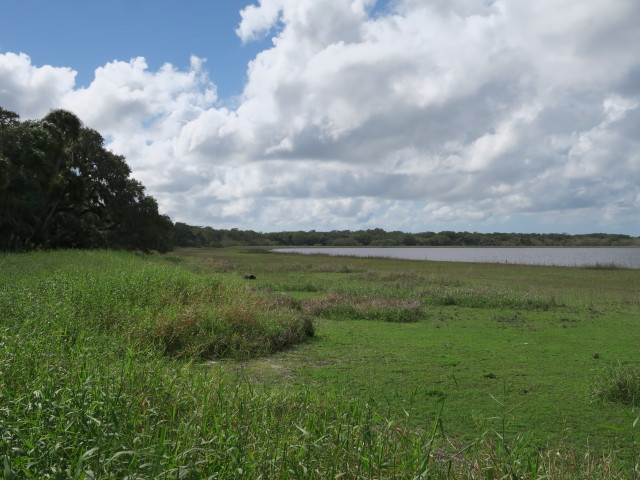 Myakka River im Myakka River State Park (12. Nov.)