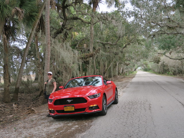 Sabine im Myakka River State Park (12. Nov.)