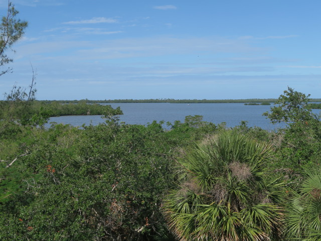 Cabbage Key (13. Nov.)