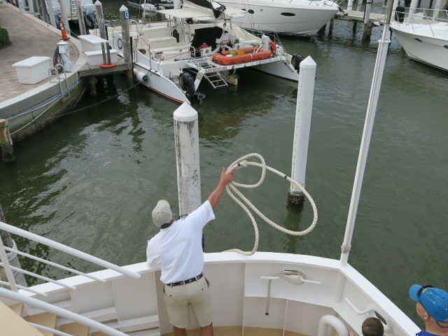 Lady Chadwick (13. Nov.)