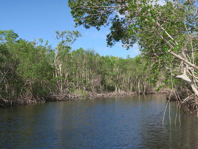 Barron River (14. Nov.)