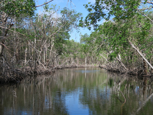 Barron River (14. Nov.)