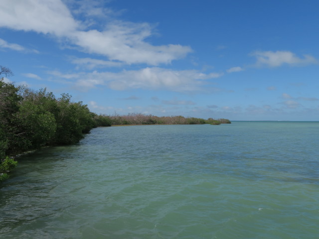 Little Duck Key (15. Nov.)