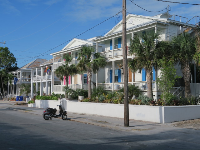 Whitehead Street in Key West (15. Nov.)