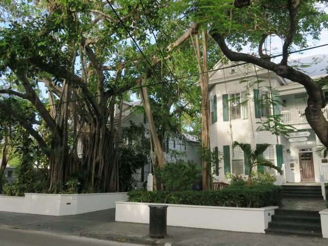Whitehead Street in Key West (15. Nov.)