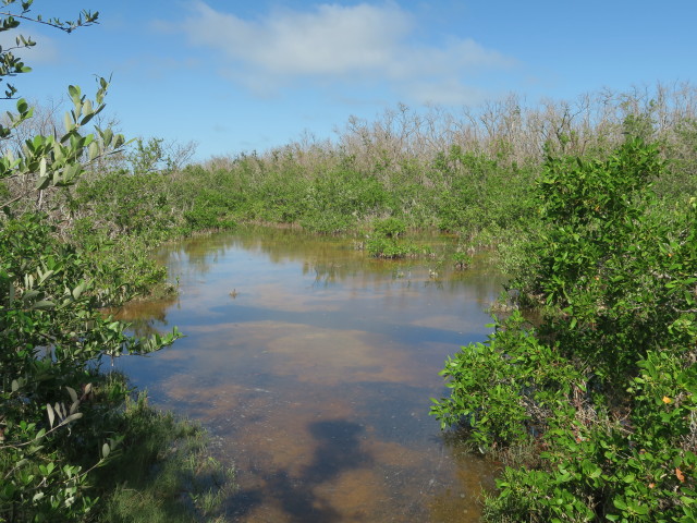 National Key Deer Refuge (16. Nov.)