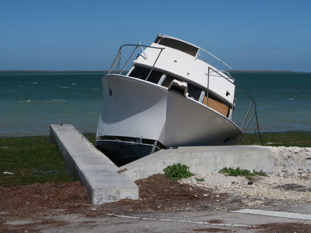 neben dem Overseas Highway (16. Nov.)