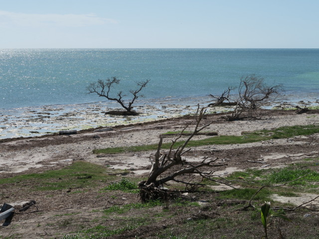 bei der Bahia Honda Bridge (16. Nov.)