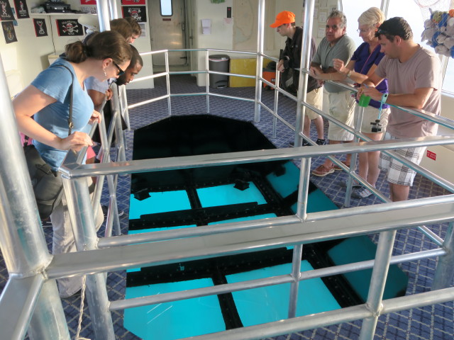 Sabine auf der Key Largo Princess 2 (16. Nov.)