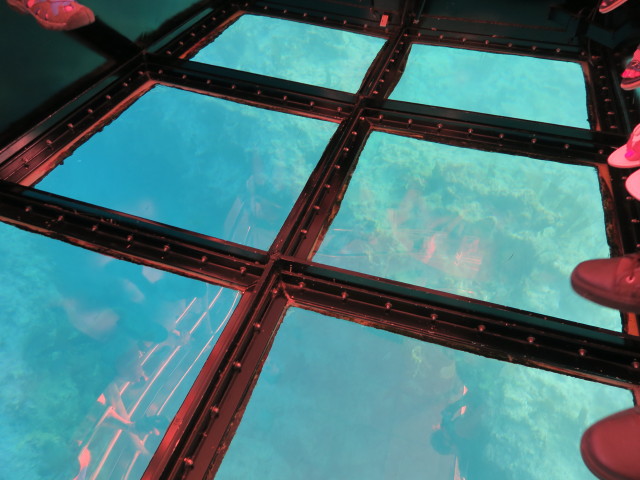 Molasses Reef (16. Nov.)