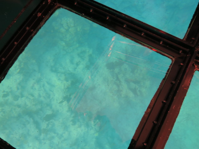 Molasses Reef (16. Nov.)