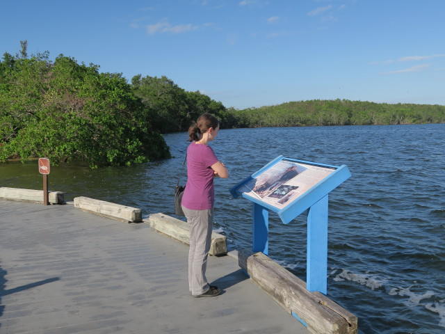 Sabine im Biscayne National Park (17. Nov.)