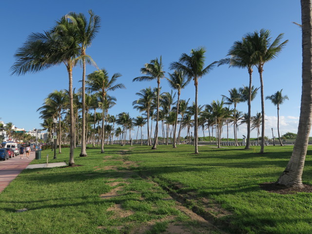 Lummus Park in Miami Beach (18. Nov.)