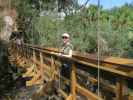 Sabine am Canopy Walk im Myakka River State Park (12. Nov.)