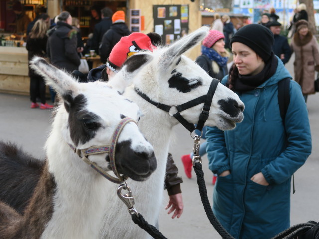 Adventmarkt am Karlsplatz