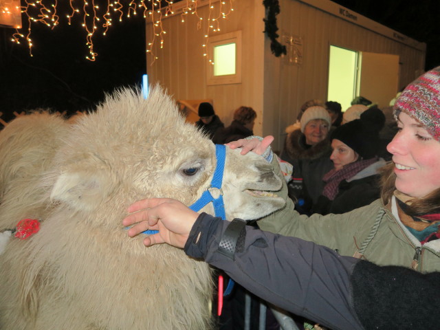 Hannelore am Advent in der Johannesbachklamm