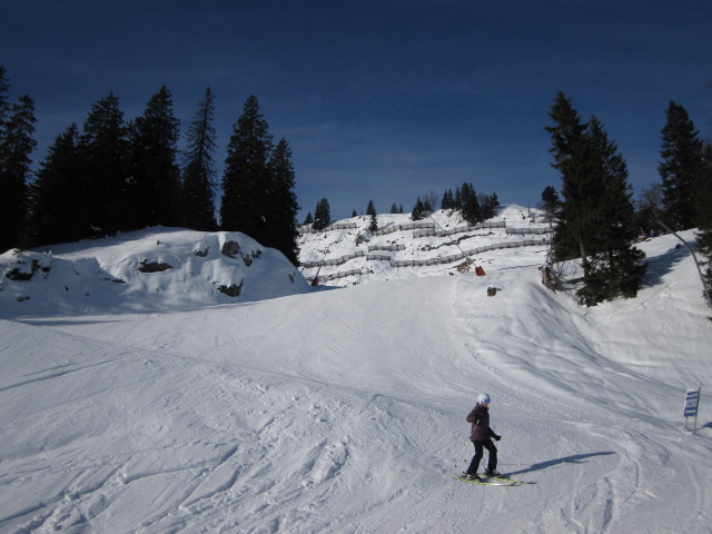 Familien-Abfahrt