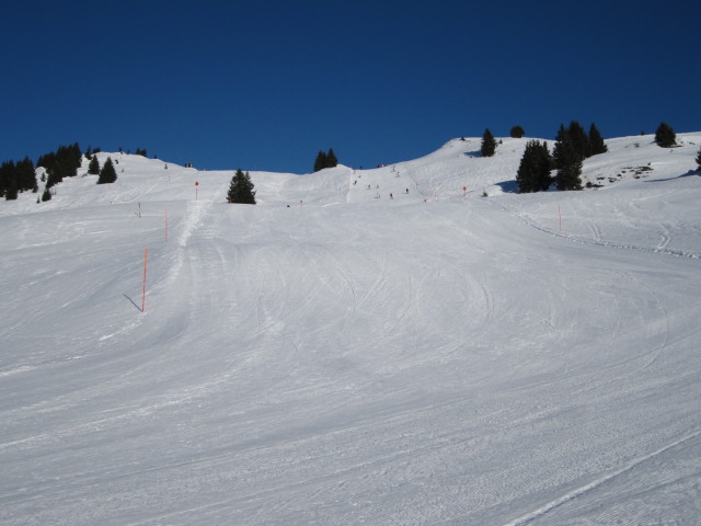 Hornköpfl-Süd-Piste