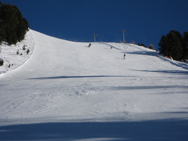 Almabfahrt Steilhang (13. J&auml;n.)