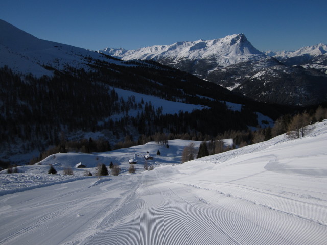 'Die Schwarze' (14. J&auml;n.)