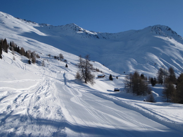 'Die Schwarze' (14. J&auml;n.)