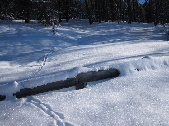 neben der Westabfahrt (14. J&auml;n.)
