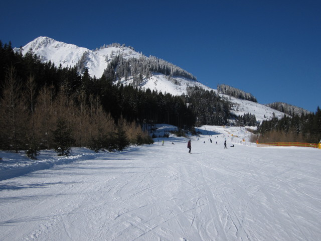 Skischul-Abfahrt