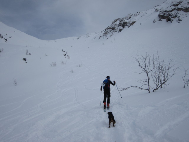 Marek zwischen Angerkaralm und Gamsfeld