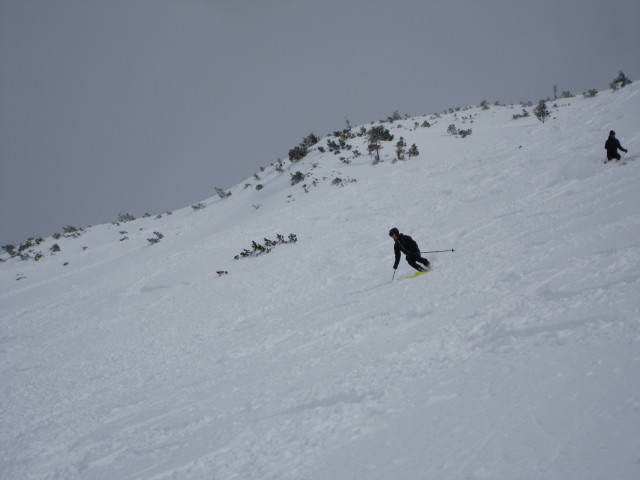 zwischen Angerkaralm und Gamsfeld