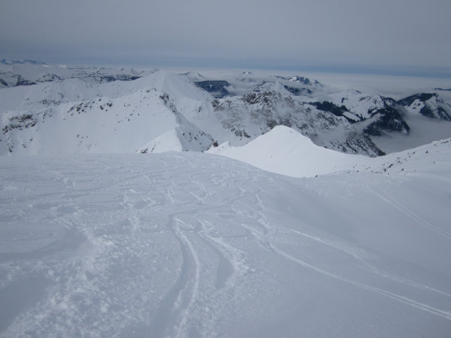 zwischen Angerkaralm und Gamsfeld