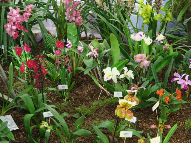 Blumengärten Hirschstetten