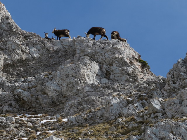 neben dem Haid-Klettersteig