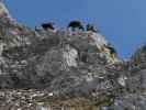 neben dem Haid-Klettersteig