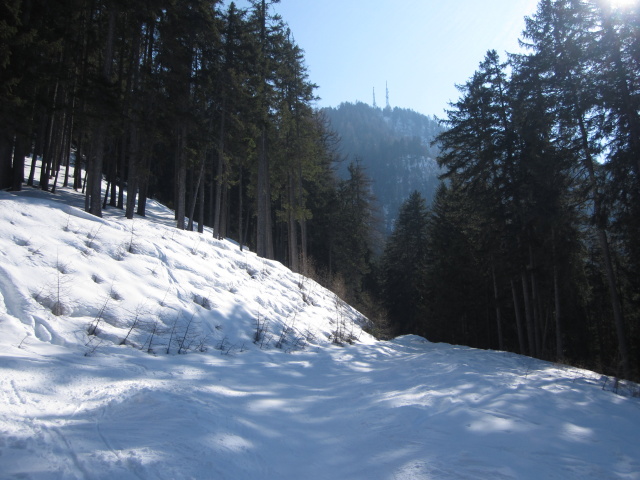 ehemalige Talabfahrt Seiser Alm - St. Ulrich (25. März)