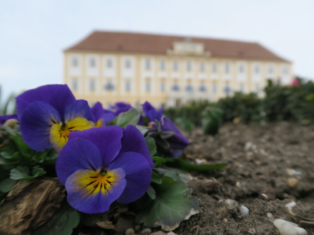 Schloss von der dritten Terrasse aus