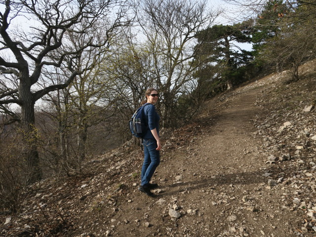 Sabine zwischen Hubertuswiese und Ruine Köhlerhütte