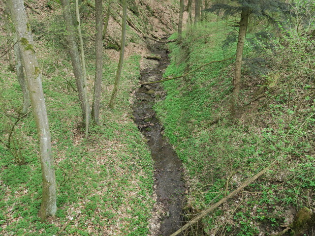 zwischen Merkersdorf und Burgruine Kaja