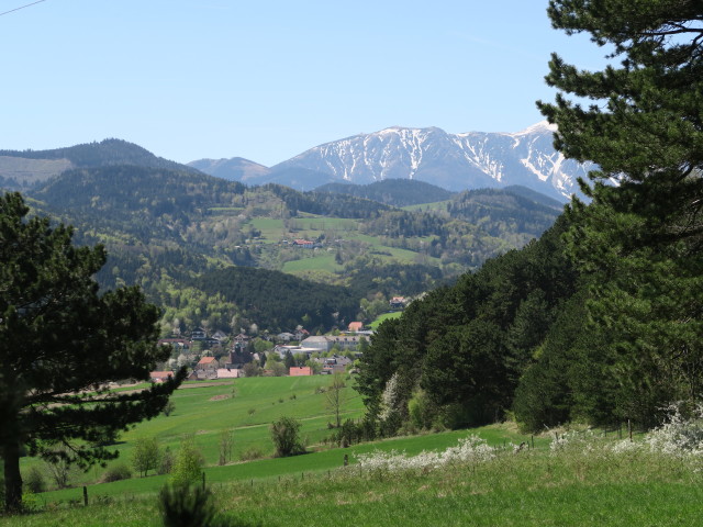 Grünbach am Schneeberg