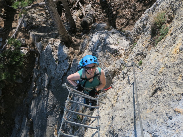 Gebirgsvereins-Klettersteig: Sabine in der Pannoniawand