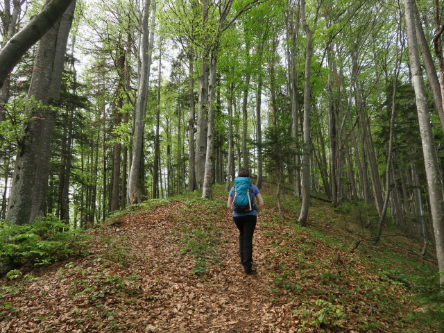 Sabine am Weg 84 zwischen Pöller und Rapoldeck