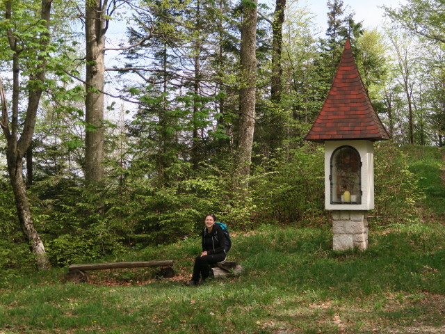 Sabine neben Weg 84 zwischen Pöller und Rapoldeck