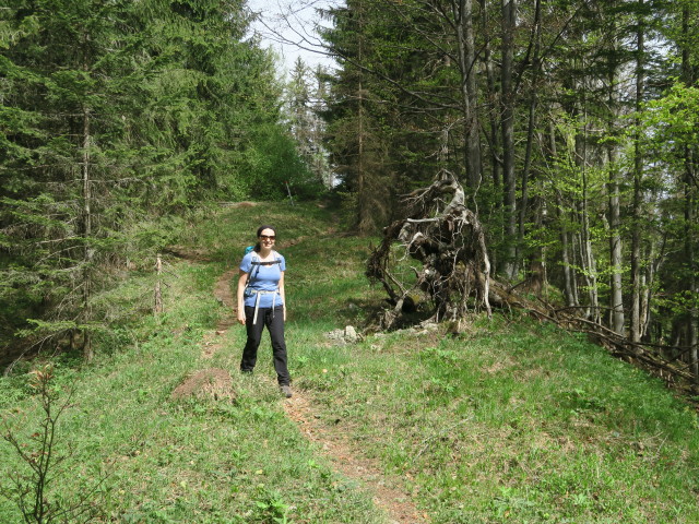 Sabine am Weg 84 zwischen Rapoldeck und Schrabachauer Kogel