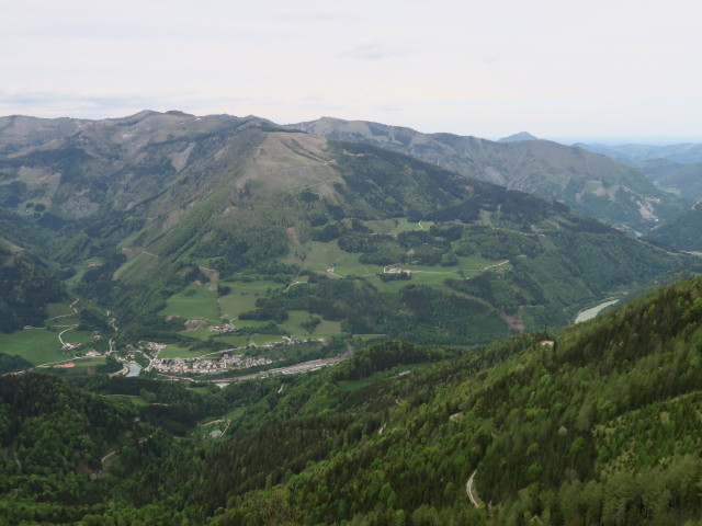 Kleinreifling vom Schrabachauer Kogel