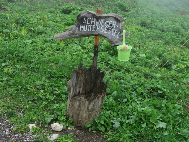 neben Weg 492 zwischen Bamacher und Ennser Hütte (5. Mai)