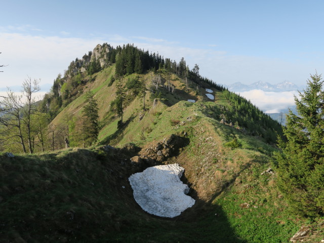 Weg E10 zwischen Lannerkogel und Langlackenmauer (6. Mai)