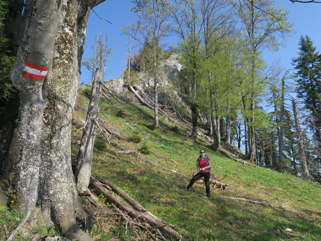 Sabine am Weg E10 zwischen Langlackenmauer und Ochsenkogel (6. Mai)