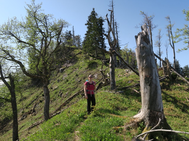 Sabine am Weg E10 zwischen Langlackenmauer und Ochsenkogel (6. Mai)