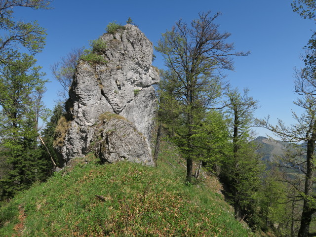 Weg E10 zwischen Ochsenkogel und Reiflingeck (6. Mai)